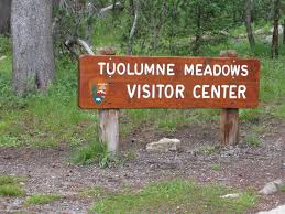 Tuolumne Meadows와 Tioga Pass Road 지역
