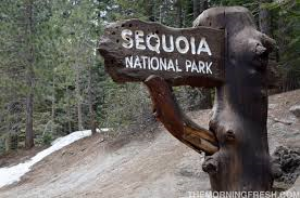 세코야킹스캐년(Sequoia Kings Canyon) 국립공원 소개
